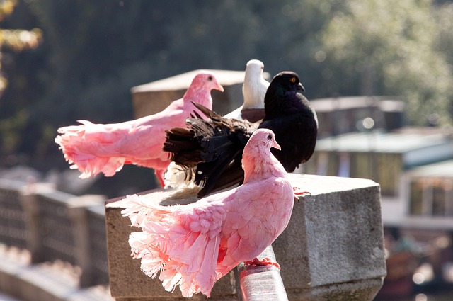 亏损高达 亏损高达