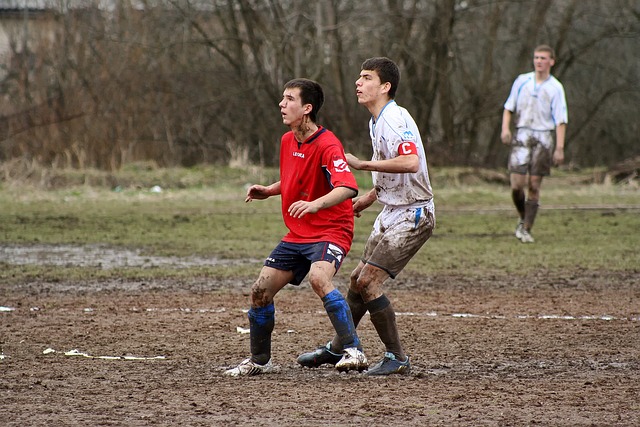 助攻數據 助攻數據