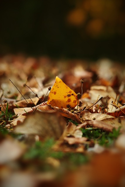 技術能力 技術能力