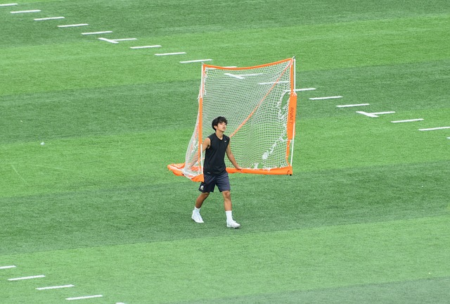 历史上许多 历史上许多