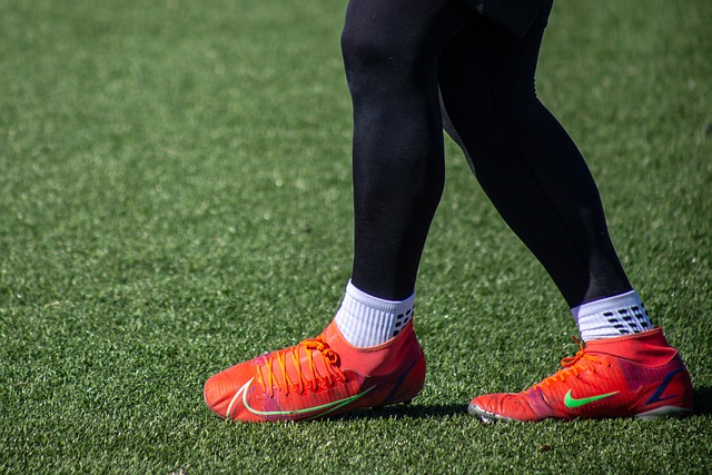 內贏得榮譽 內贏得榮譽