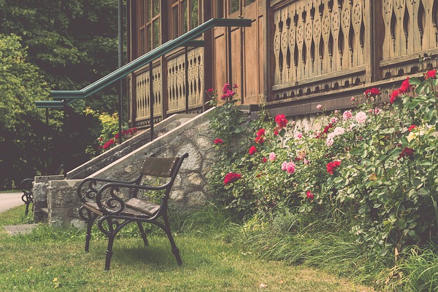 引发了热烈 引发了热烈