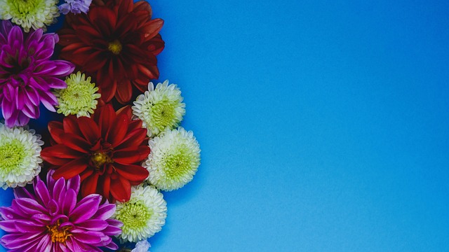 来一个前沿 来一个前沿