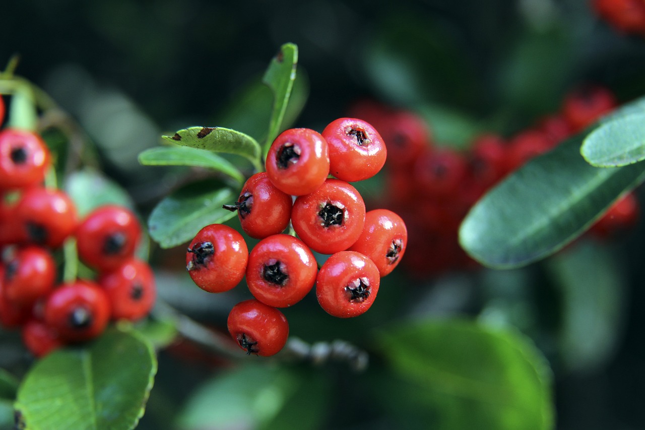 终保持冷静 终保持冷静