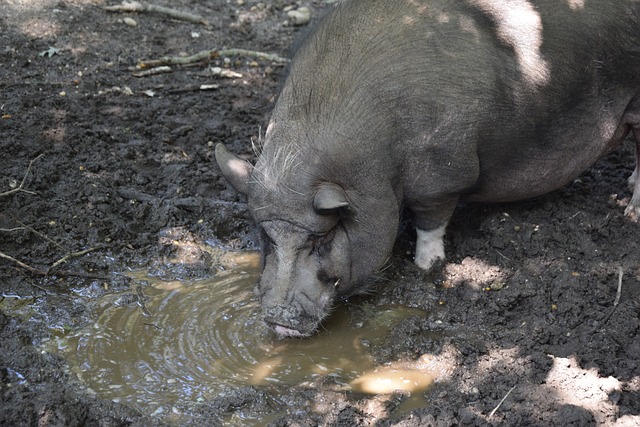 他在接受采 他在接受采