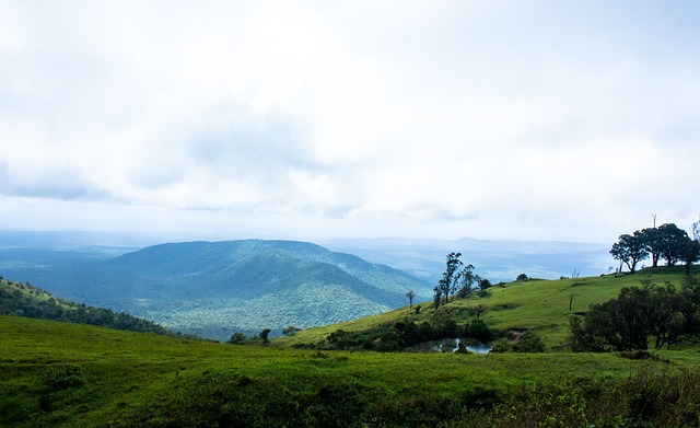 场事关榜首 场事关榜首