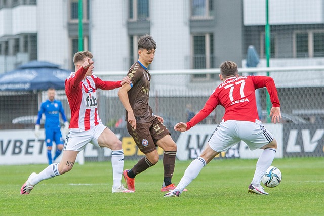 仅提升了学 仅提升了学