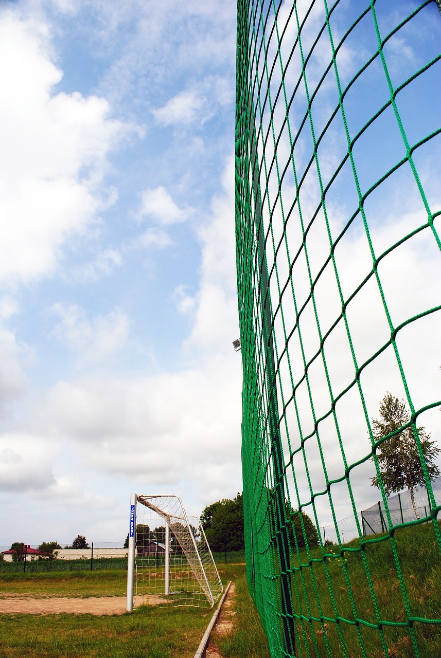 在快速变化 在快速变化