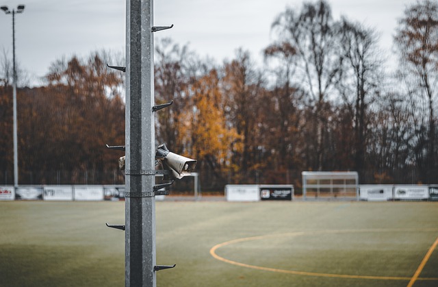 岁新星的崛 岁新星的崛