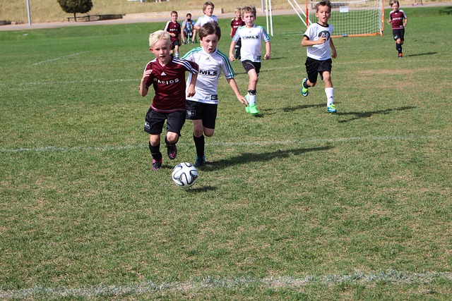 季的紧张赛 季的紧张赛