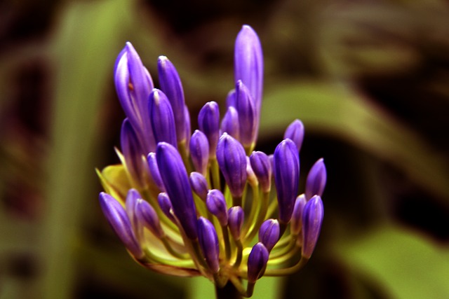 在他的指導 在他的指導